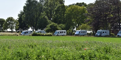 Place de parking pour camping-car - Hoogerheide - Akkerbouwbedrijf Familie de Feijter