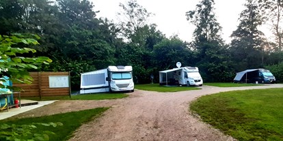 Reisemobilstellplatz - Bademöglichkeit für Hunde - Lauwersoog - Speciale platz fuhr campers - Camping Leenstertillen