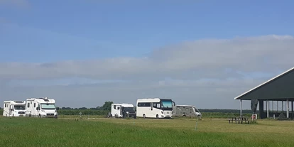 Place de parking pour camping-car - Bodegraven - Campererf Biezenhoeve
