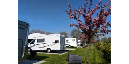 Parkeerplaats voor camper - Stolwijk - Campererf Biezenhoeve
