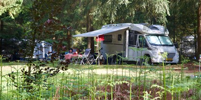 Motorhome parking space - Wohnwagen erlaubt - Schoonloo - Camping Landgoed Borkerheide