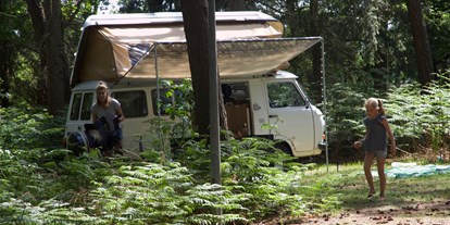 Reisemobilstellplatz - Hunde erlaubt: Hunde erlaubt - Exloërveen - Camping Landgoed Borkerheide