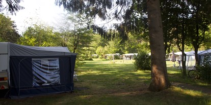 Reisemobilstellplatz - Umgebungsschwerpunkt: am Land - Mantinge - Camping Landgoed Borkerheide