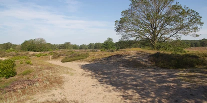 Reisemobilstellplatz - Art des Stellplatz: bei Freibad - Emmen (Drenthe) - Camping Landgoed Borkerheide