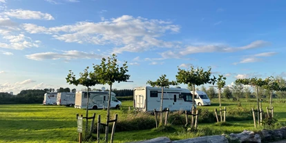 Plaza de aparcamiento para autocaravanas - Holanda del Sur - Panoramablick von der Wiese - Camperplaats Buitenplaats Molenwei