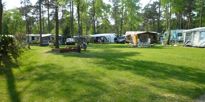 Reisemobilstellplatz - Art des Stellplatz: im Campingplatz - Vaassen - Schöne Plätzen in das Wald. - Camping de Rimboe