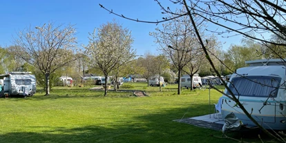 Reisemobilstellplatz - Spielplatz - Linde - Camping Pieterom