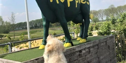 Reisemobilstellplatz - Lopikerkapel - Camperlocatie Bij d'n Hop