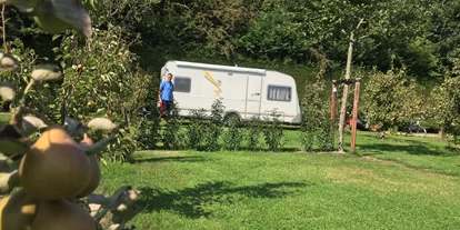 Reisemobilstellplatz - Wohnwagen erlaubt - Oostkapelle - Boomgaardcamping DuinRand
