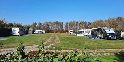 Place de parking pour camping-car - Angelmöglichkeit - Sluis - Minicamping de Vuurtoren