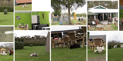 Motorhome parking space - Hunde erlaubt: Hunde erlaubt - North Brabant - Camping De Nieuwe Drenck. - Camping de Nieuwe Drenck