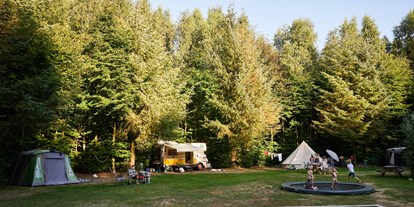 Motorhome parking space - Termunterzijl - Camping Noorderloo