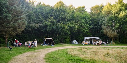 Motorhome parking space - Duschen - Termunterzijl - Camping Noorderloo