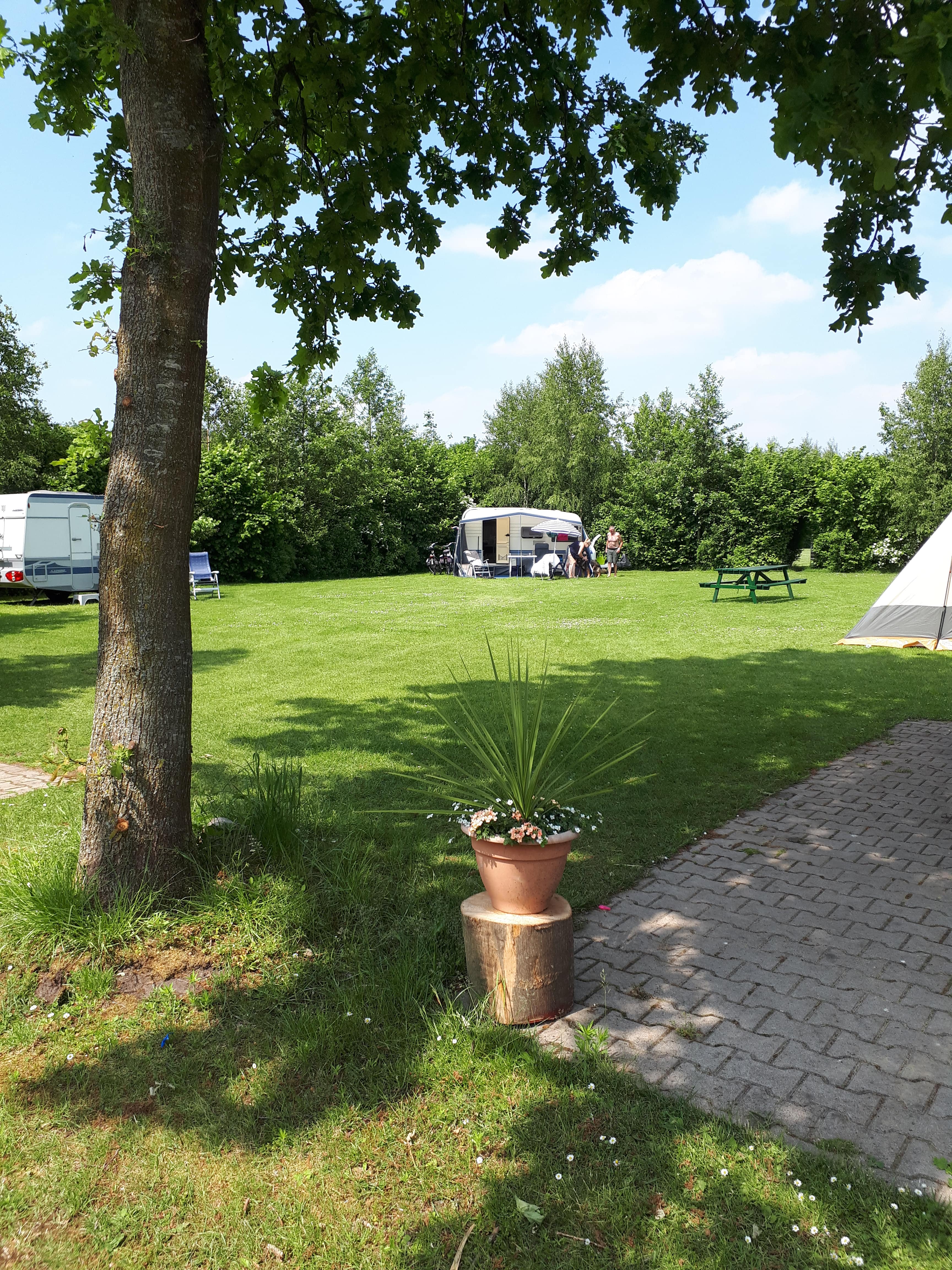 Wohnmobilstellplatz - Klein veldje met 4 kampeerplaatsen - Camping de Bosrand Spier
