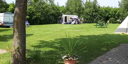 Reisemobilstellplatz - Hunde erlaubt: Hunde erlaubt - Borger - Klein veldje met 4 kampeerplaatsen - Camping de Bosrand Spier