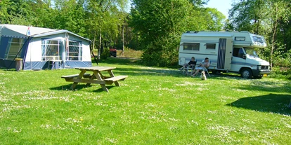 Parkeerplaats voor camper - Wohnwagen erlaubt - Rheeze - campers ook welkom
 - Camping de Bosrand Spier