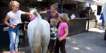 Reisemobilstellplatz - Wohnwagen erlaubt - Gieten - pony's verzorgen - Camping de Bosrand Spier