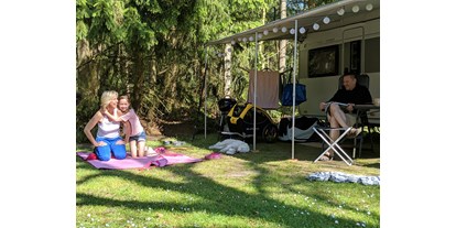 Motorhome parking space - Wohnwagen erlaubt - Netherlands - Camping de Waps