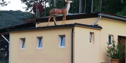 Motorhome parking space - Bademöglichkeit für Hunde - Wiener Neustadt - Sanitärhaus - Seecamping Masai Mara