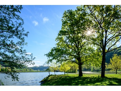 Motorhome parking space - Stromanschluss - Obergreith (Oberhaag) - Der See im Sommer - Sulmsee Camping
