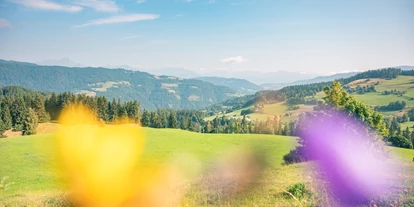 Motorhome parking space - WLAN: nur um die Rezeption vorhanden - Sankt Georgen ob Murau - Blick in die Karchau - Alpengasthaus Moser