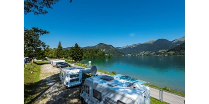 Reisemobilstellplatz - Bademöglichkeit für Hunde - Österreich - Ferienpark Terrassencamping Sud-See