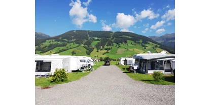 Motorhome parking space - Bademöglichkeit für Hunde - Austria - Alpencamping Gerlos