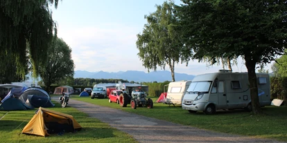 Reisemobilstellplatz - Art des Stellplatz: im Campingplatz - Fußach - Rohrspitz Yachting Salzmann e.U.