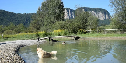 Reisemobilstellplatz - Bademöglichkeit für Hunde - Bach (Völkermarkt) - Camping Rosental Rož