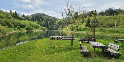 Reisemobilstellplatz - Bademöglichkeit für Hunde - Niederösterreich - Wienerbrucker Stausee - Naturparkzentrum Ötscher-Basis 