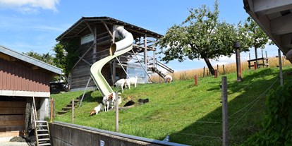 Reisemobilstellplatz - Hunde erlaubt: Hunde erlaubt - Rüedisbach - Mutzgraben Rüedisbach