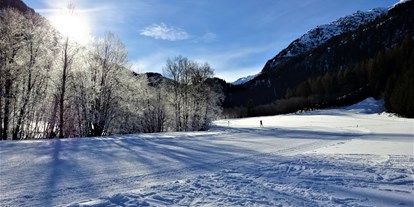 Motorhome parking space - Umgebungsschwerpunkt: Fluss - Graubünden - Stellplatz Rona
