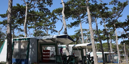 Parkeerplaats voor camper - Donji Karin - Camping Planik