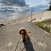 Place de stationnement pour camping-car - Hunde sind am Strand nicht erlaubt🥲 - Doberani Rannamaja