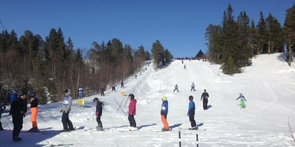 Reisemobilstellplatz - Wohnwagen erlaubt - Trøndelag - Skipark mit Skilift - Høgkjølen Fjellcamp