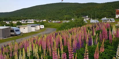 Motorhome parking space - SUP Möglichkeit - Northern Norway - Senja Camping