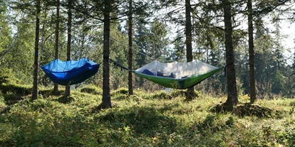 Parkeerplaats voor camper - Angelmöglichkeit - Noorwegen - Such dich ein Baum... - Velfjord Camping & Hytter