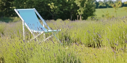 Posto auto camper - Art des Stellplatz: bei Gewässer - Alta Lituania - Lavender Village