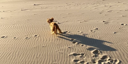 Parkeerplaats voor camper - Letland - Hunde lieben diesen Strand 😊 - Kempings Sili