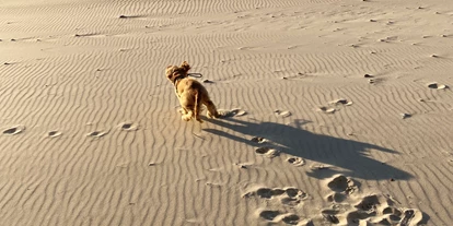 Plaza de aparcamiento para autocaravanas - Letonia - Hunde lieben diesen Strand 😊 - Kempings Sili