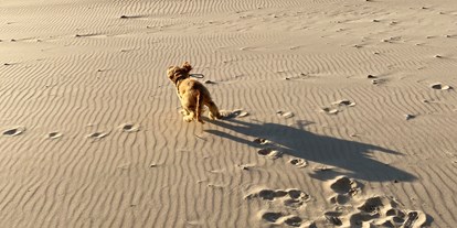 Reisemobilstellplatz - Kurland - Hunde lieben diesen Strand 😊 - Kempings Sili