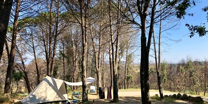 Parkeerplaats voor camper - Bobadela - SVR Camping Toca da Raposa