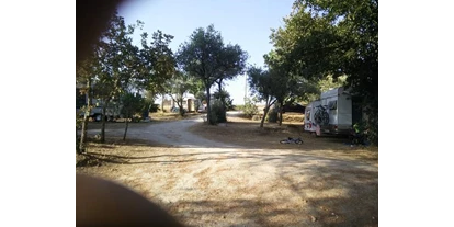 Motorhome parking space - Umgebungsschwerpunkt: am Land - Covas (Beiras) - SVR Camping Toca da Raposa