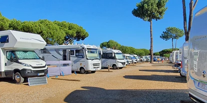 RV park - Umgebungsschwerpunkt: Stadt - Armação de Pêra - Algarve Motorhome Park Falesia - Algarve Motorhome Park Falésia