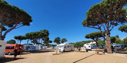 RV park - Stromanschluss - Armação de Pêra - Algarve Motorhome Park Falesia - Algarve Motorhome Park Falésia