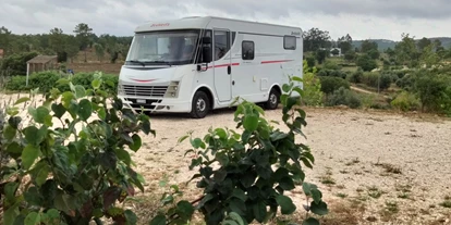 Place de parking pour camping-car - Art des Stellplatz: am Bauernhof - le Portugal - Quinta das Lameiras