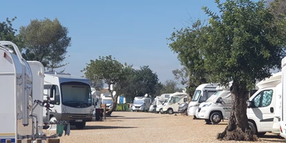 Plaza de aparcamiento para autocaravanas - WLAN: am ganzen Platz vorhanden - Vila Nova de Cacela - Algarve Motorhome Park Tavira - Algarve Motorhome Park Tavira