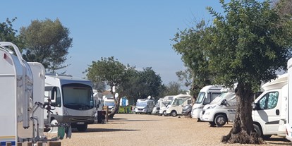 Reisemobilstellplatz - Umgebungsschwerpunkt: Stadt - Vila Nova de Cacela - Algarve Motorhome Park Tavira - Algarve Motorhome Park Tavira