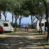 Espacio de estacionamiento para vehículos recreativos - Camping Blanes