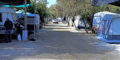 Place de parking pour camping-car - Hunde erlaubt: Hunde teilweise - Espagne - Der Campingplatz verfügt über Straßen, die für Wohnwagen und Wohnmobile freigegeben sind - Camping la Naranja